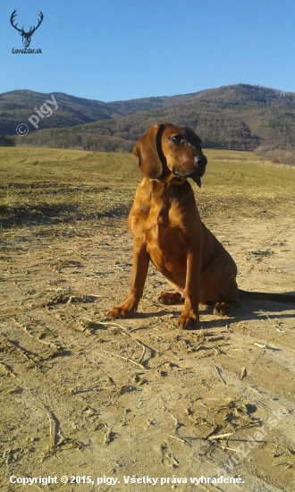 ares