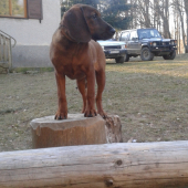 ares robi na chate dozor pri ohníku
