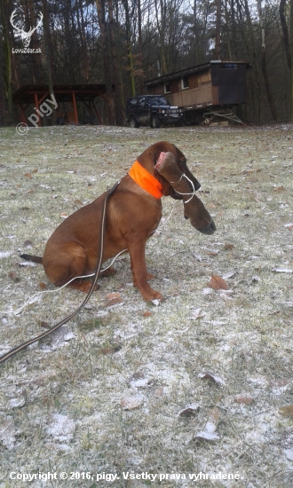 ares