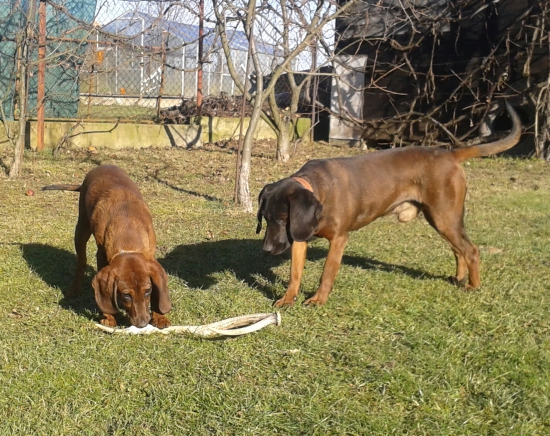 ares na návšteve u jeho otca