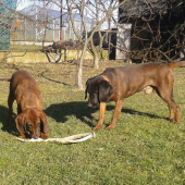 ares na návšteve u jeho otca