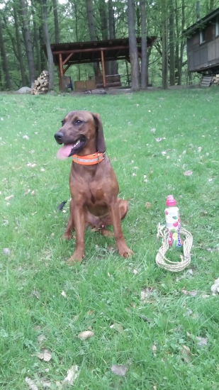 9hod.pofarbena stopa 4km.