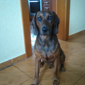 Aresko