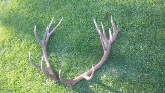 Nepravidelná 16-tka