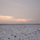 Zasnežený ostrov