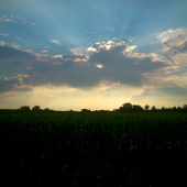 One day when heaven calls my name....