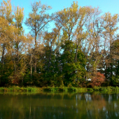 Malý Dunaj