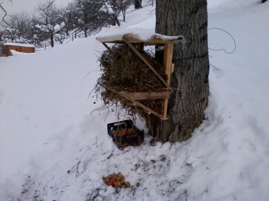 menšie prikrmovanie