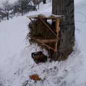 menšie prikrmovanie