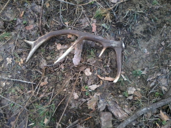 môj  prví tohto roku