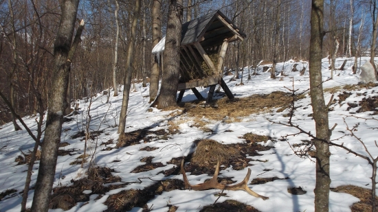 Odmena za tohtoročne prikrmovanie.....