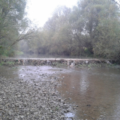 usilovny bobry