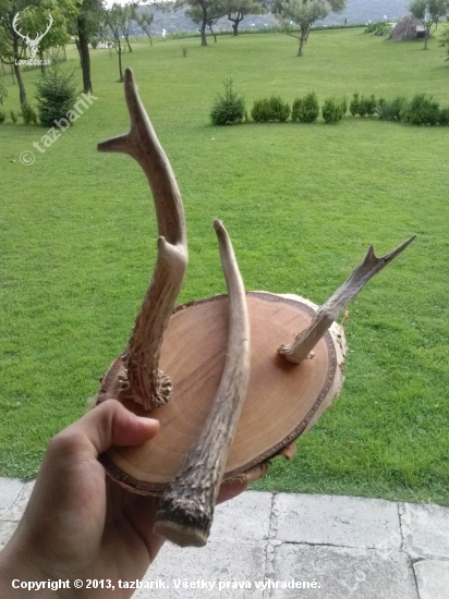 vesiacik