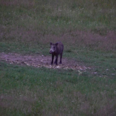 Keď vás život nebaví