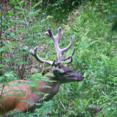 Tento rok som uz 18-torák