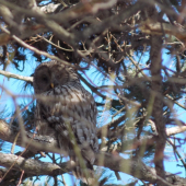 krásne sa na mňa dívala
