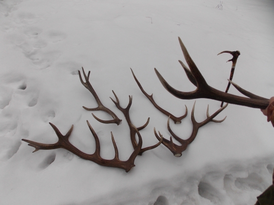 Spomienka s kamarátom