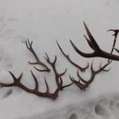 Spomienka s kamarátom