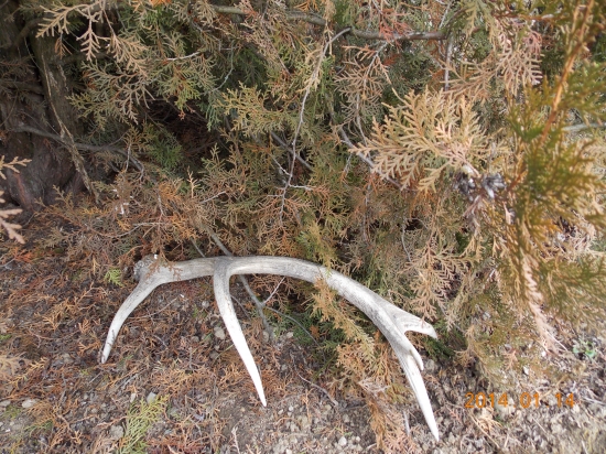 dnešná prechádzka