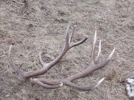 spomienka s kamaratom