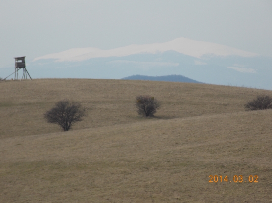 včerajšia prechádzka