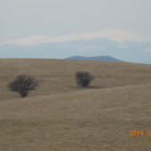 včerajšia prechádzka