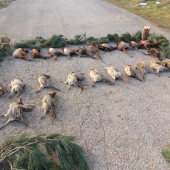 Na spoločnej polovačke na bažanty
