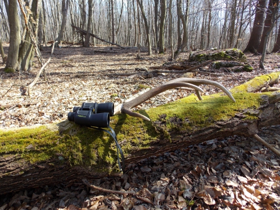 Dnešná prechádzka