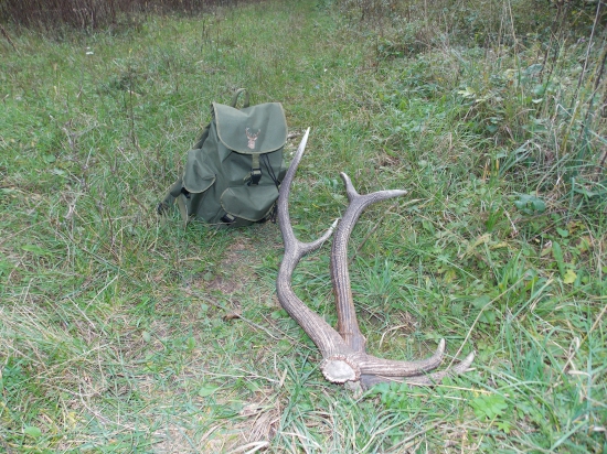 Dnešná prechádzka