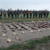 Dnešná spoločná poľovačka