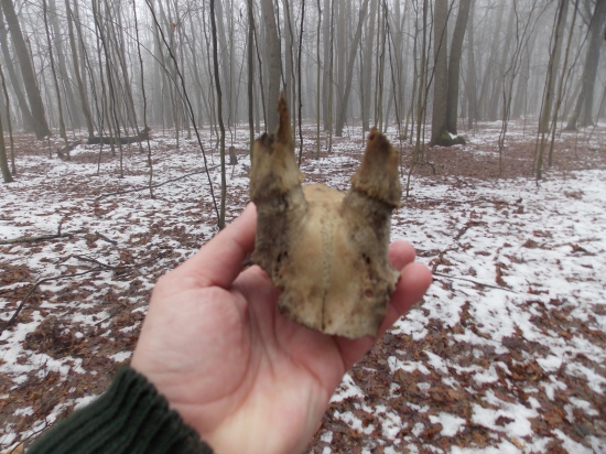 Ten si musel polezat