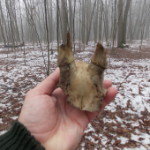 Ten si musel polezat