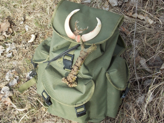 dnešná prechádzka