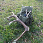 keď sa darí