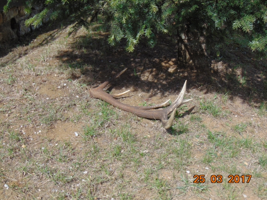 12.torák,u kamaráta v záhrade