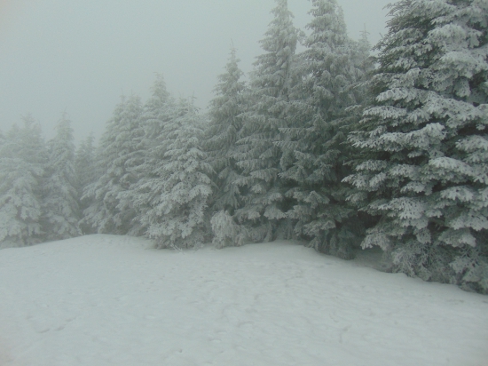 winter.