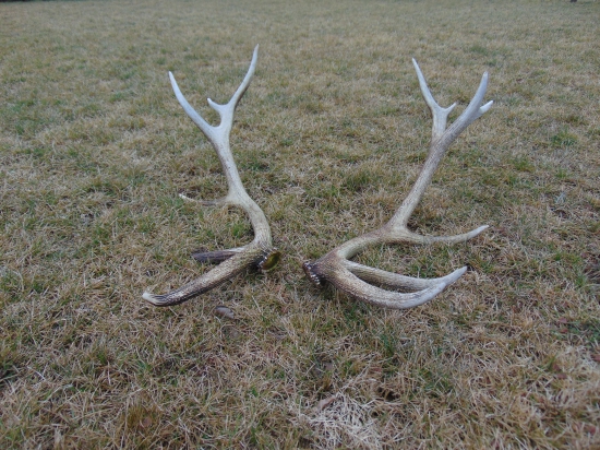 keď sa šťastie usmeje