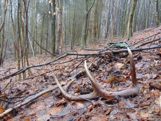 kamaratov,vlanajší