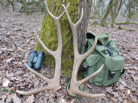 aj dnes sa darilo,pára nepravidelného12toráka