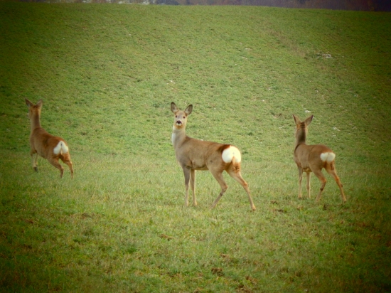 dnešný pekný zážitok