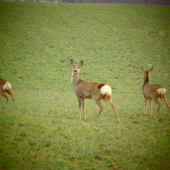 dnešný pekný zážitok