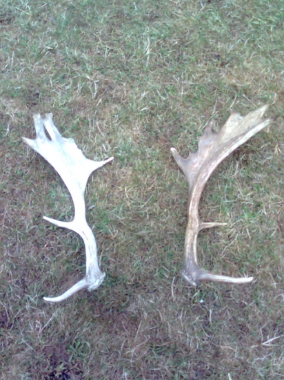 menšie ale potesili