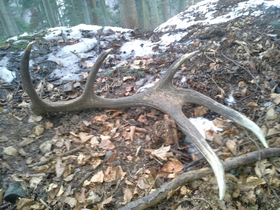 Veľmi dobrý štart do novej sezóny