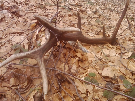 Dnešne šťastie :D