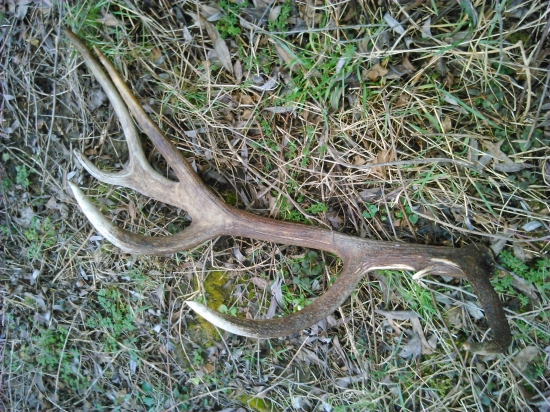 Perfektný začiatok novej sezóny :D