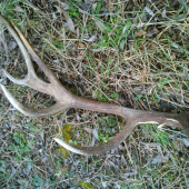 Perfektný začiatok novej sezóny :D