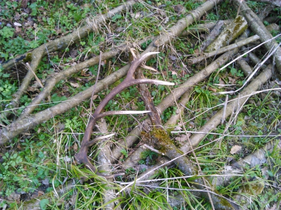 Ďalší prírastok k tejto sezóne :D