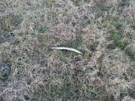 Stary ale potešil :)