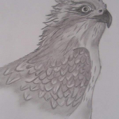 Priroda