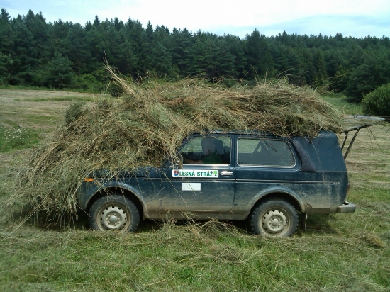 priprava sena na zimu :)